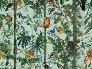 Mind The Gap Tropical Wanderlust Wildlife Of Papua - WP20528