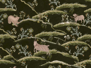 Mind The Gap Transylvanian Roots Countryside By Night - WP20541