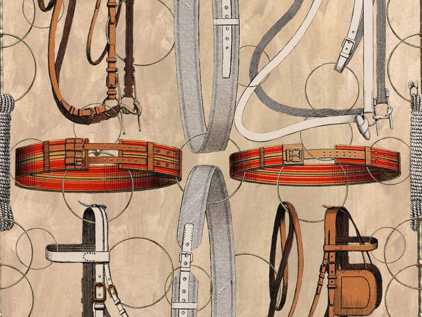 Mind The Gap The Derby Equestrian Equipment Light - WP20633