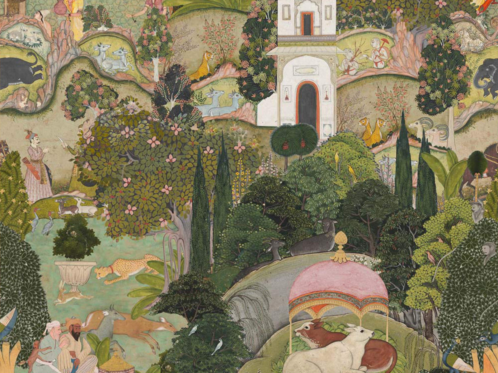 Mind The Gap The Curator's Cabinet Gardens Of Jaipur - WP20645