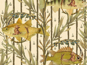 Mind The Gap The Wetlands Sweet Water Fishes - Wp20720