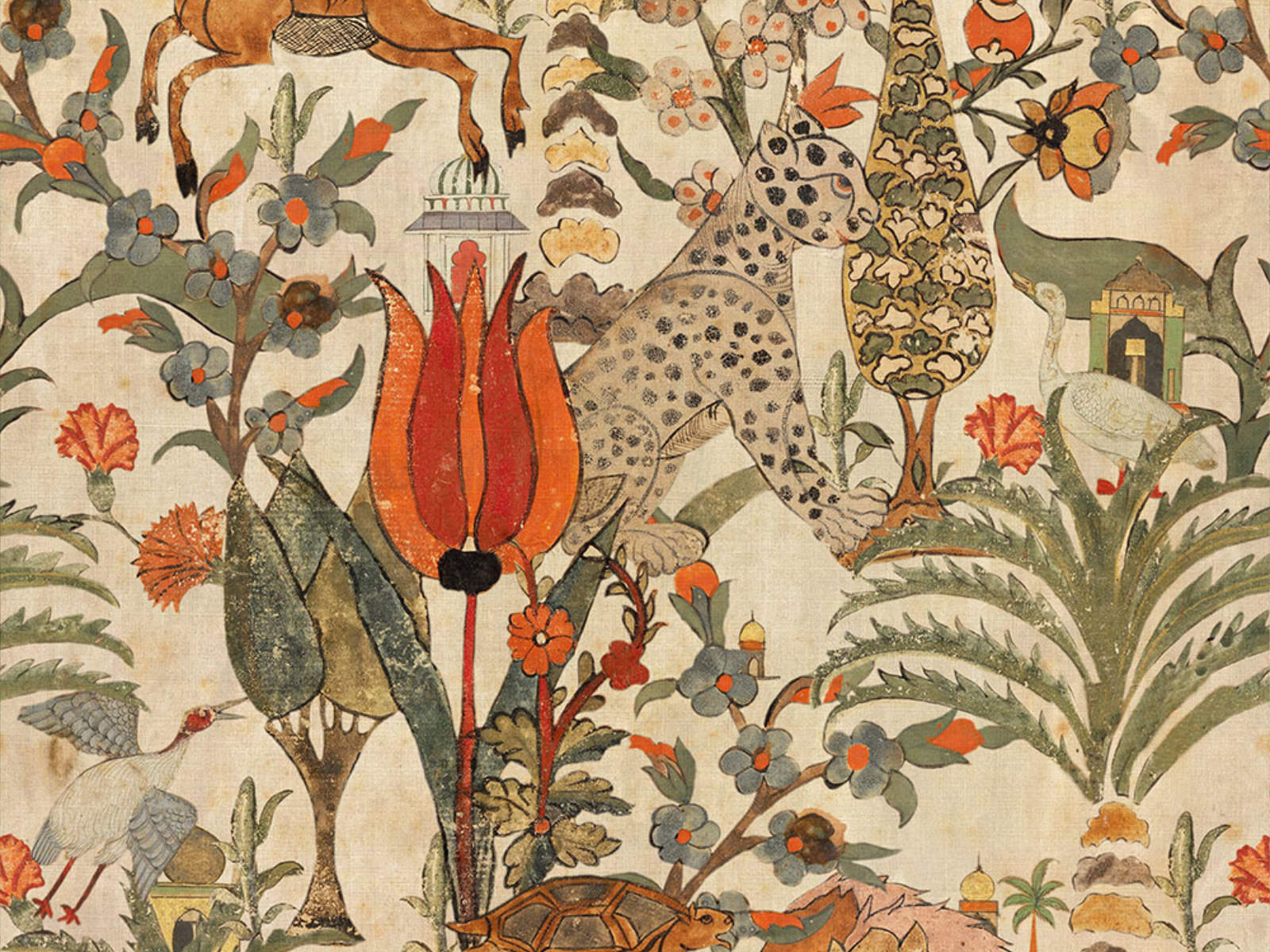 Mind The Gap Tales Of Maghreb Algerian Tale - WP20740