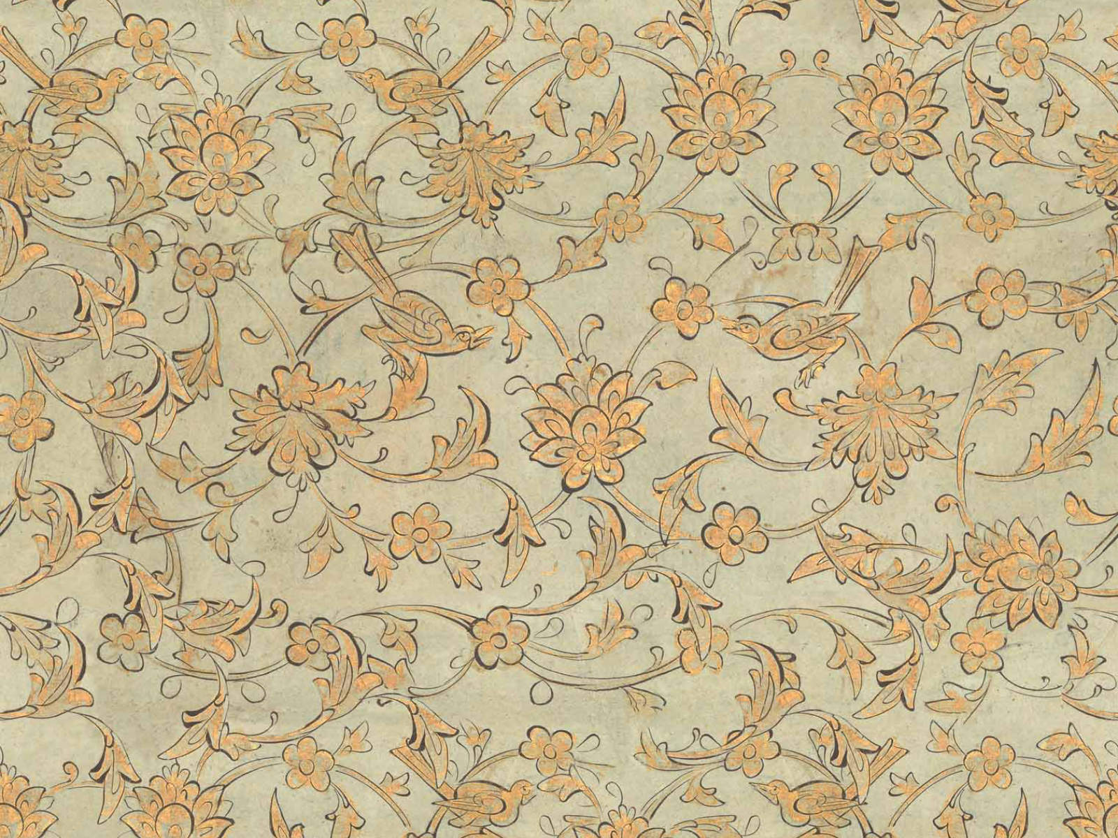 Mind The Gap Transylvanian Roots Backyard Flowering Seacrest - WP30005