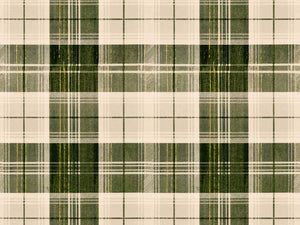 Mind The Gap Transylvanian Roots Countryside Plaid Beechnut - WP30010