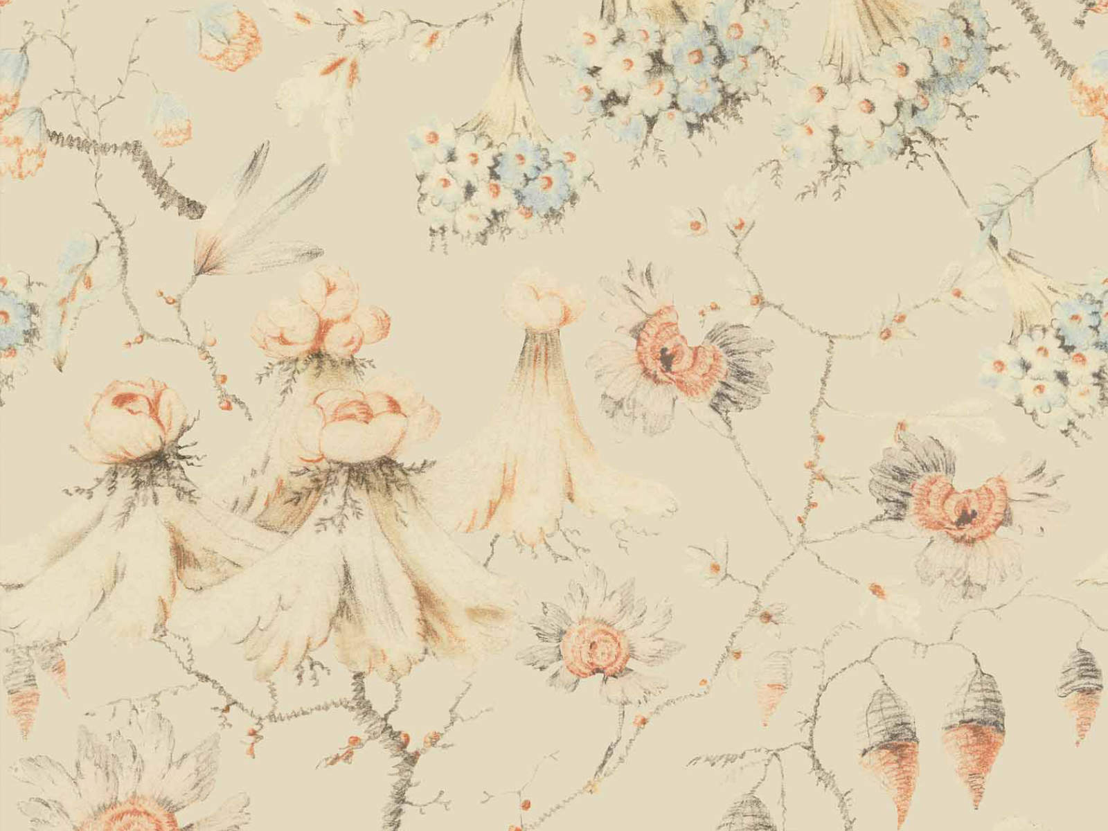 Mind The Gap Transylvanian Roots Grandma's Tapestry Bluewash - WP30018