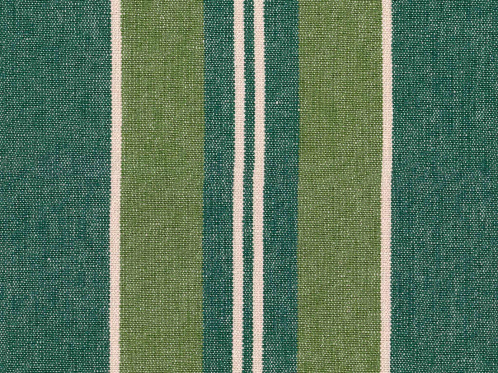 Mind The Gap Transylvanian Roots Szepviz Green - WP30030