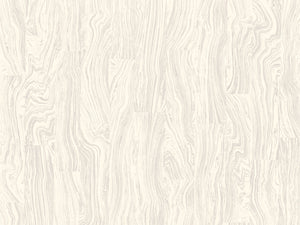 Romo Japura Otishi - Oyster W41701