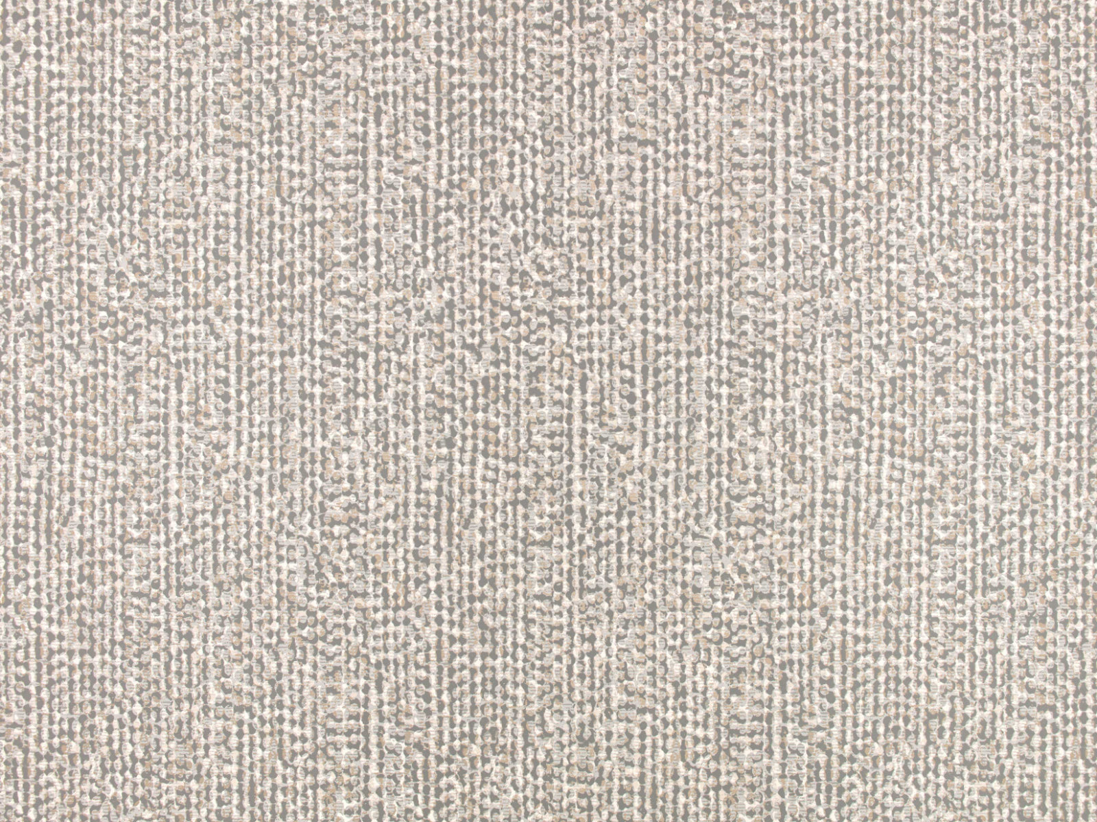 Romo Picota Ezri - Swedish Grey W43202