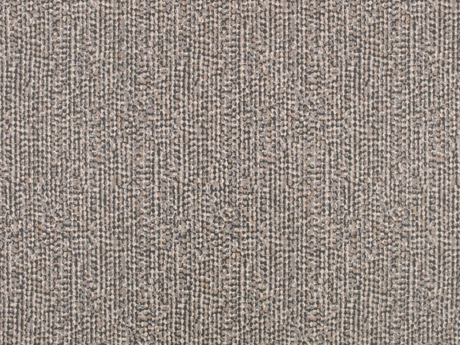 Romo Picota Ezri - Gunmetal W43203