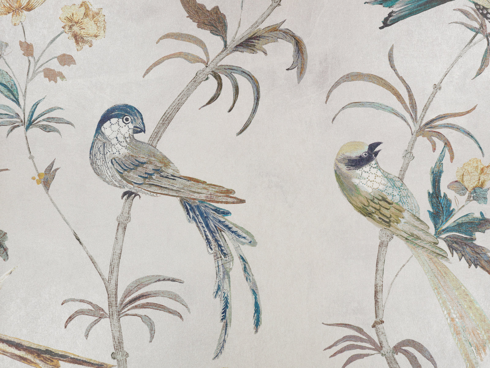 Romo Pluma Pluma - Gris W444/01