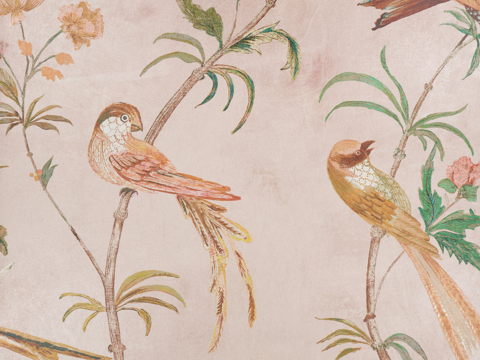 Romo Pluma Pluma - Blush W444/03