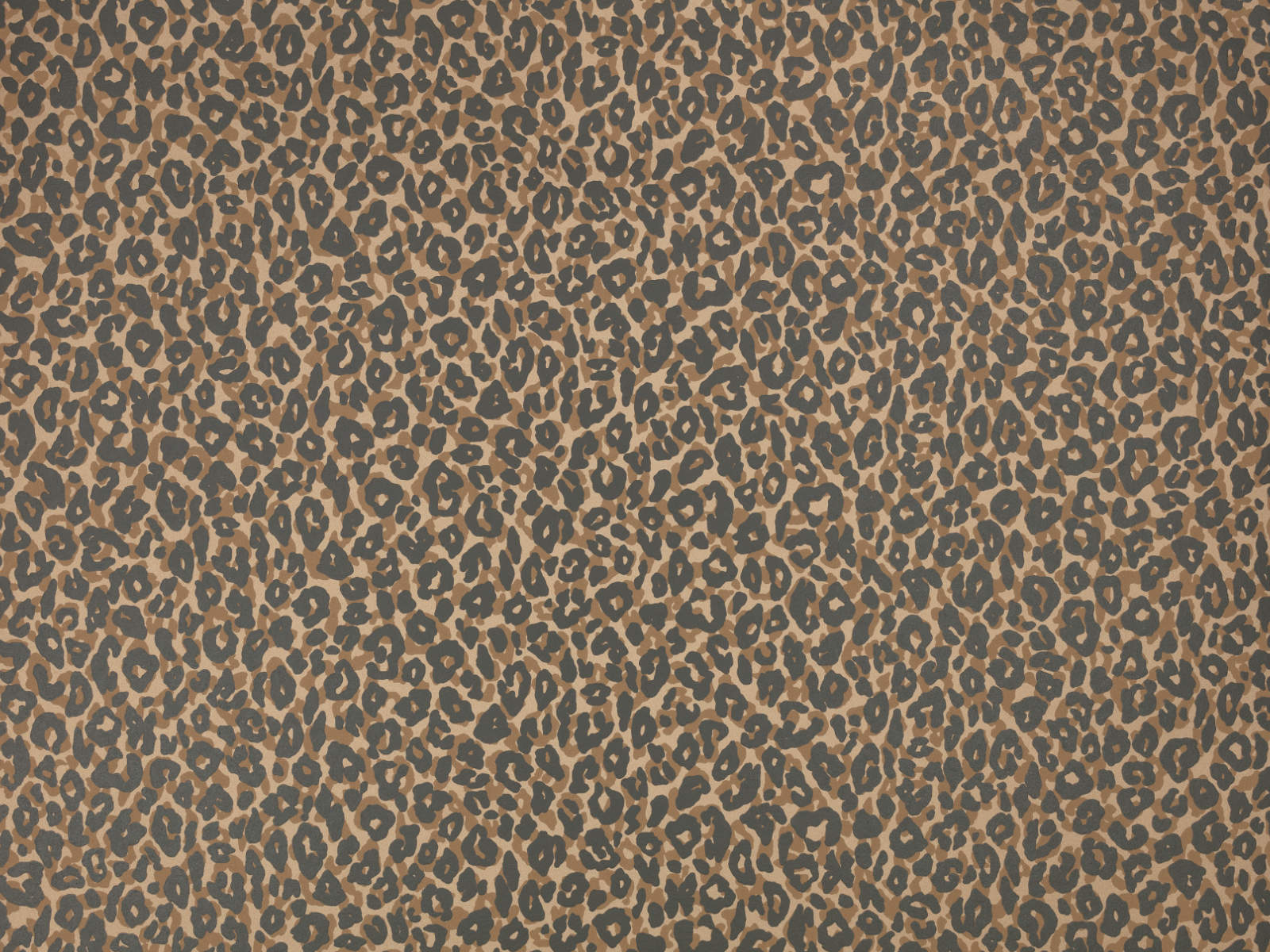 Romo x Temperley London Kitty - Tan - W453/08