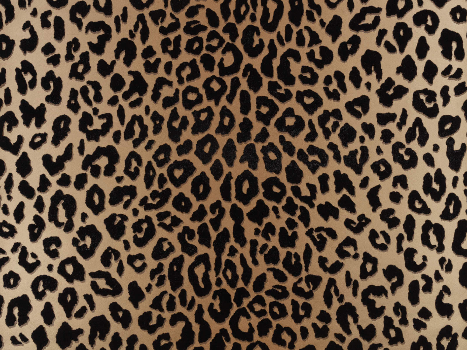 Romo x Temperley London Mimi - Tan - W454/01