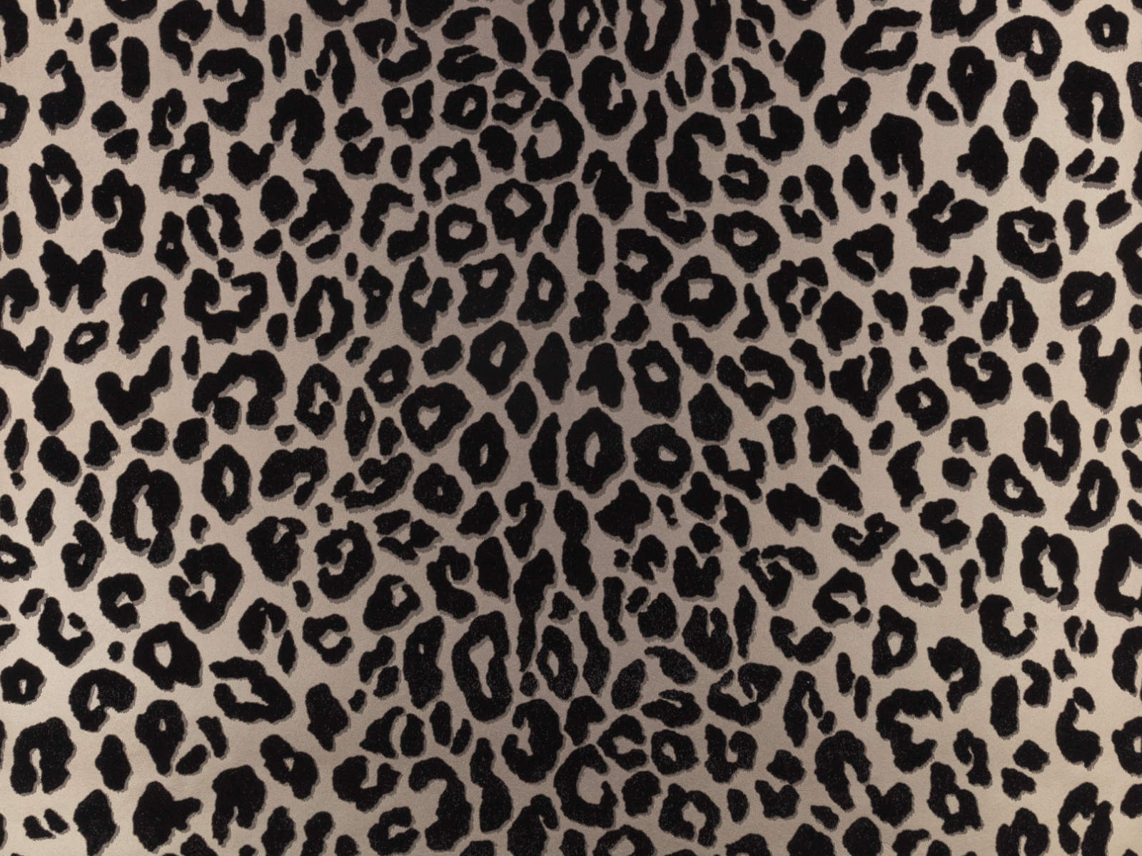 Romo x Temperley London Mimi - Kohl - W454/02