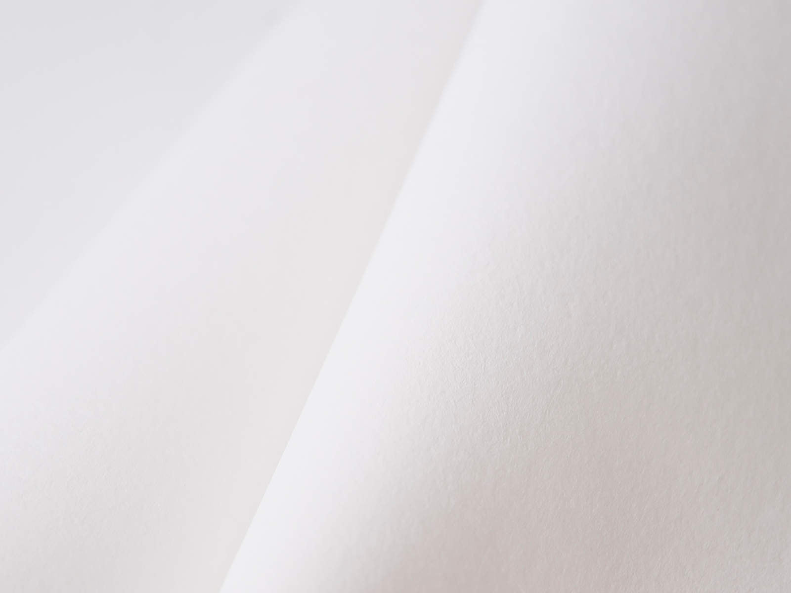 Arte Patent Glasvlies behang (Overschilderbaar) 150 gr/m2 - 10 m - 9869