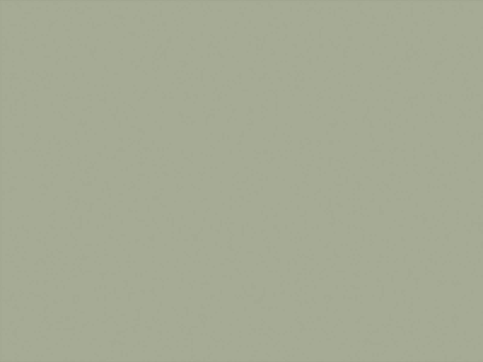 Little Greene Verf Boringdon Green - 295