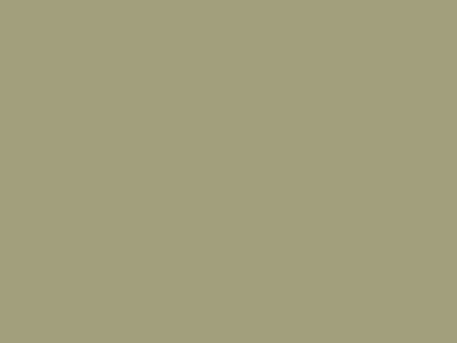 Little Greene Verf Normandy Grey - 79