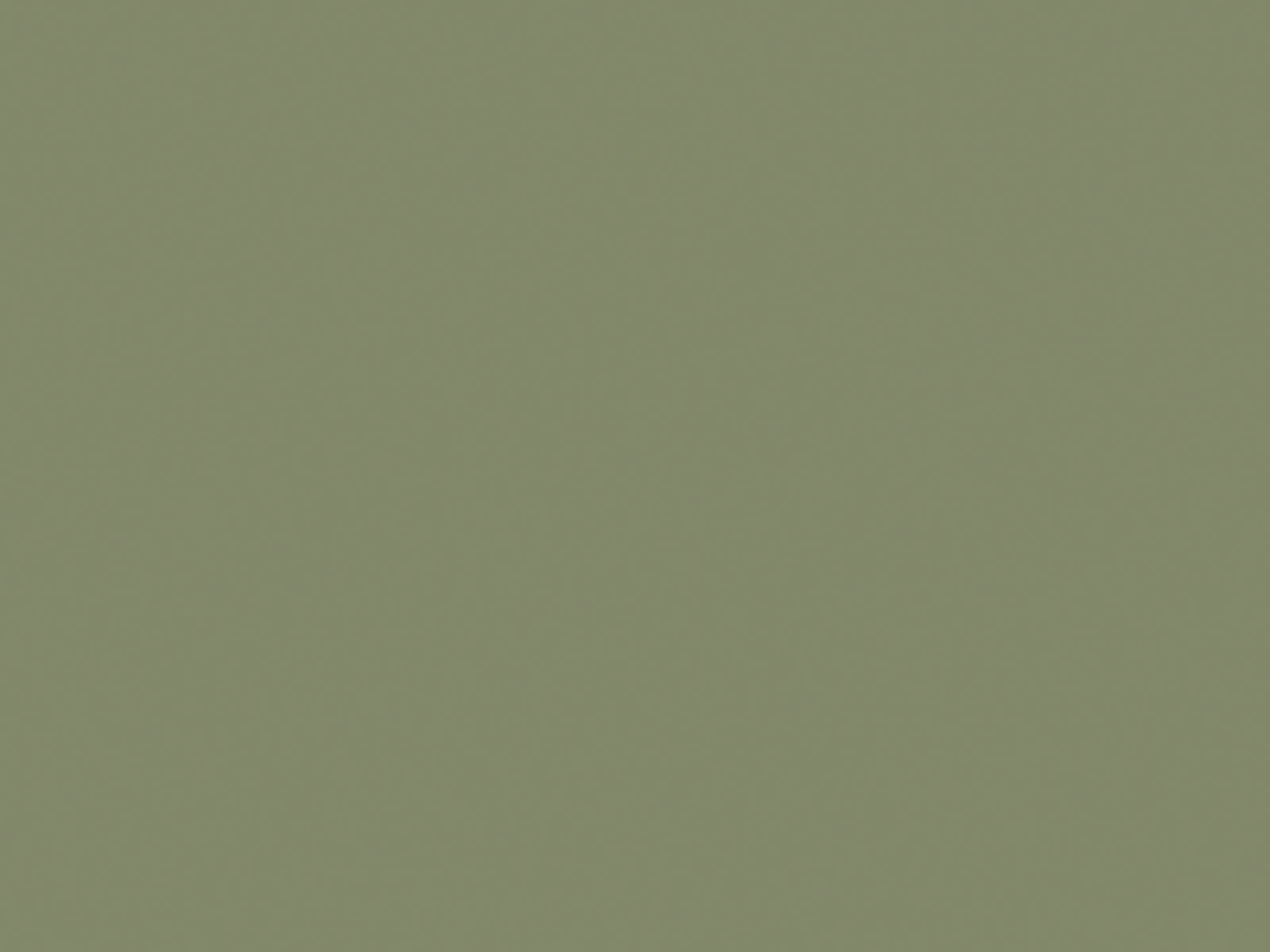 Paint & Paper Library Verf Sencha - 569