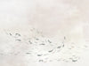 Coordonné Random Chinoiseries II Koi - 6800723