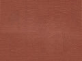 Casamance Exploration Danse Des Sampans - 70822261