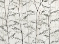 Coordonné Random Chinoiseries II Woods - 7800996