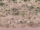Coordonné Random Chinoiseries II Garzas - 7900002