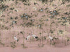 Coordonné Random Chinoiseries II Garzas - 7900002