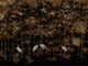 Coordonné Random Chinoiseries II Garzas - 7900003