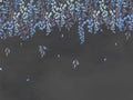Coordonné Random Chinoiseries II Manuela - A00264