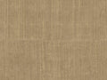 Arte Alaya Katan Silk - 11501