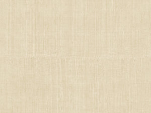 Arte Alaya Katan Silk - 11502