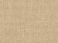 Arte Alaya Katan Silk - 11513