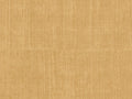 Arte Alaya Katan Silk - 11519