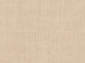 Arte Alaya Katan Silk - 11525