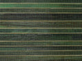 Arte All Naturals Casalian - 14029A