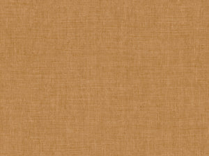 Arte Indienne Mandu - 18340