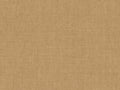 Arte Indienne Mandu - 18350