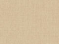 Arte Indienne Mandu - 18351