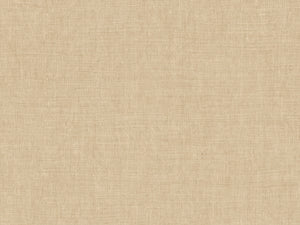 Arte Indienne Mandu - 18351