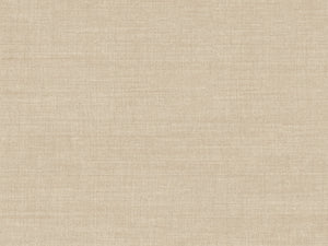 Arte Indienne Bundi - 18371