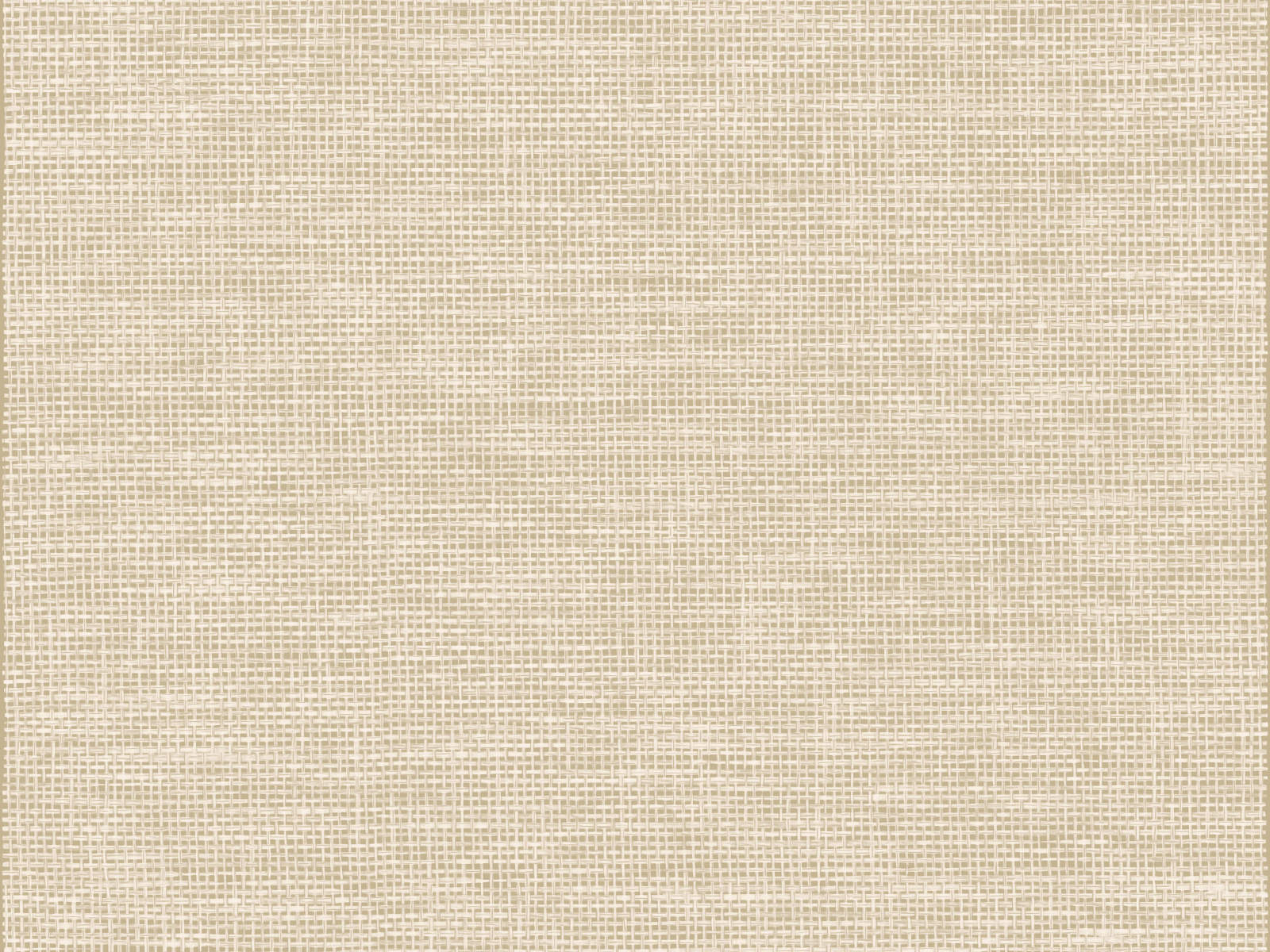 Arte Essentials Les Naturels La Raphia Tisse - 26742