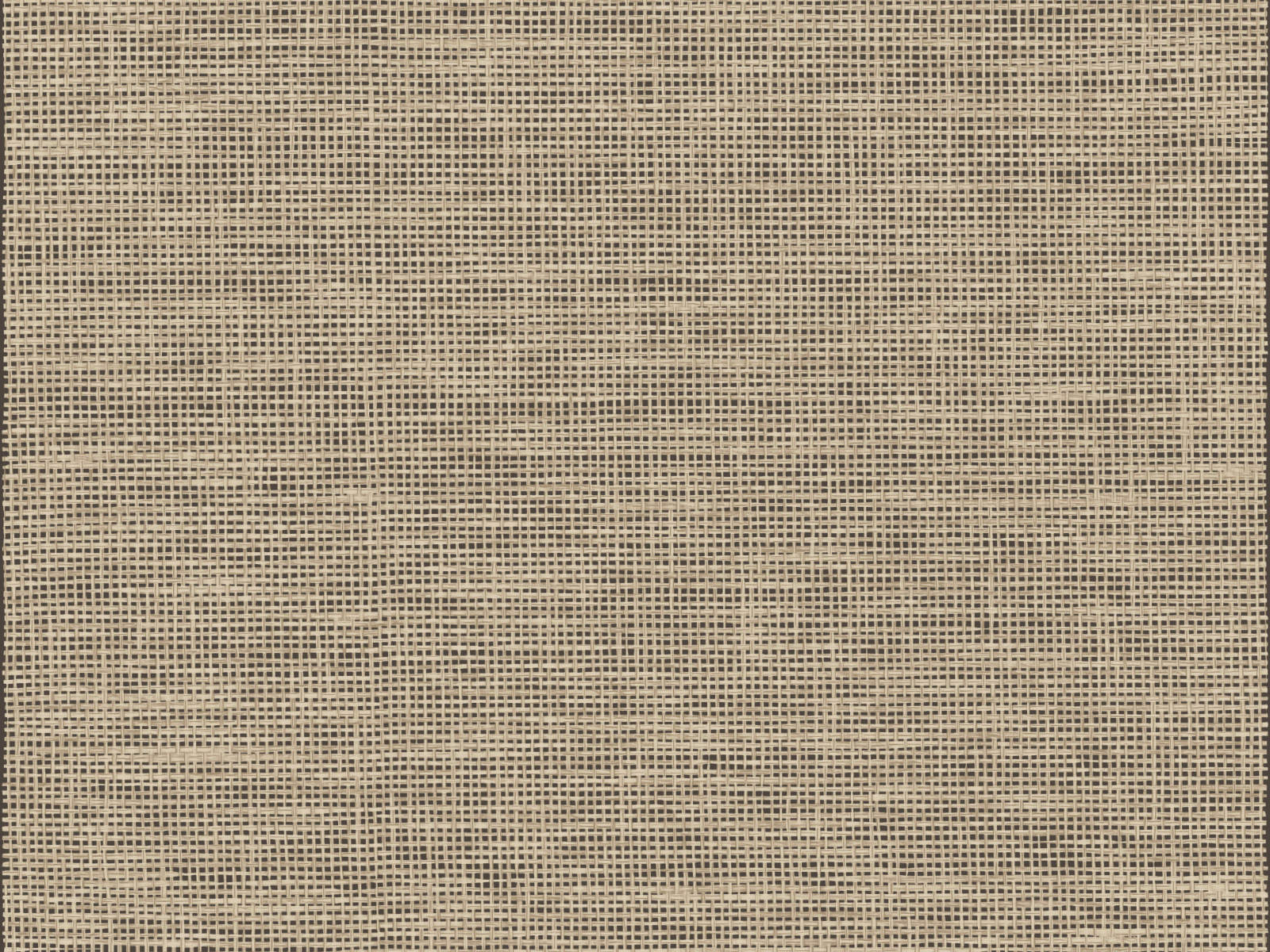 Arte Essentials Les Naturels La Raphia Tisse - 26744
