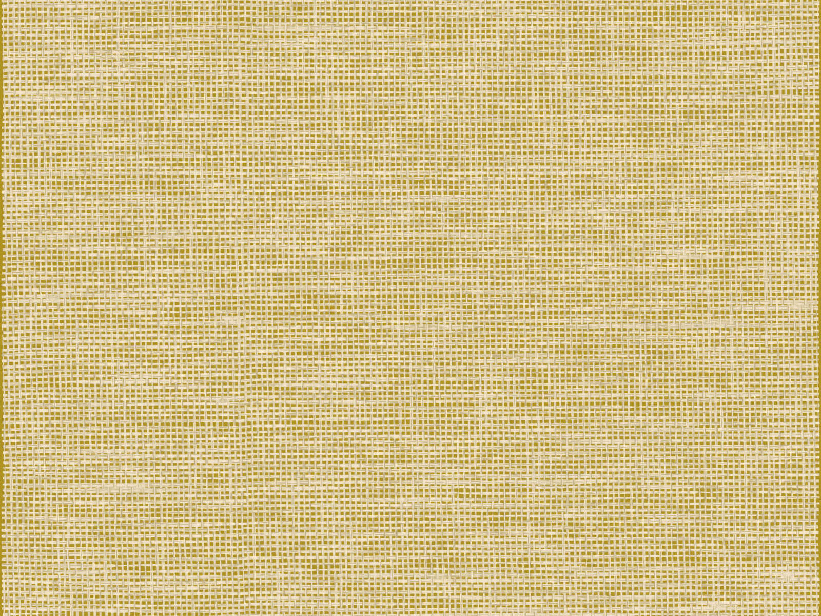 Arte Essentials Les Naturels La Raphia Tisse - 26745