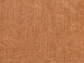 Arte Lush Tinneroy - 29501