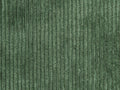 Arte Lush Corduroy - 29519