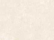 Arte Essentials Kaolin Calcaire Stucco - 30302