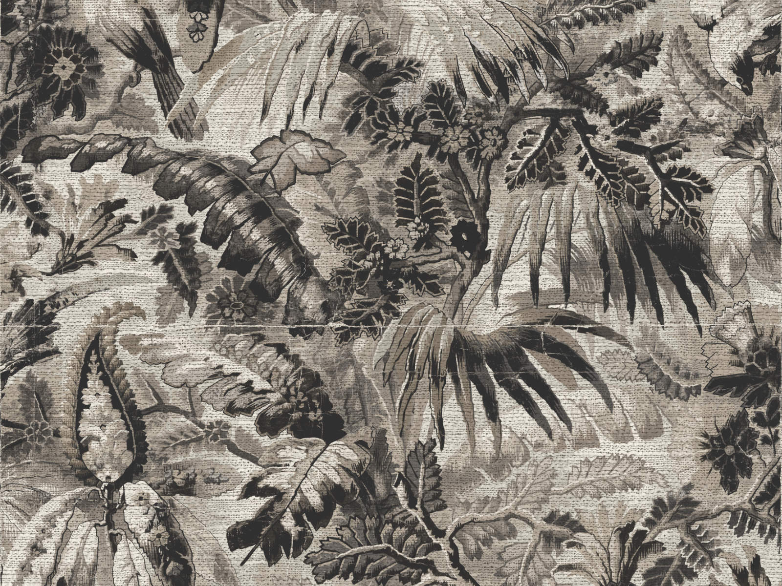 Arte Antigua Tropicali - 33003
