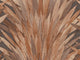 Arte Selva Abanico - 34003