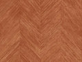Arte Selva Corteza - 34204