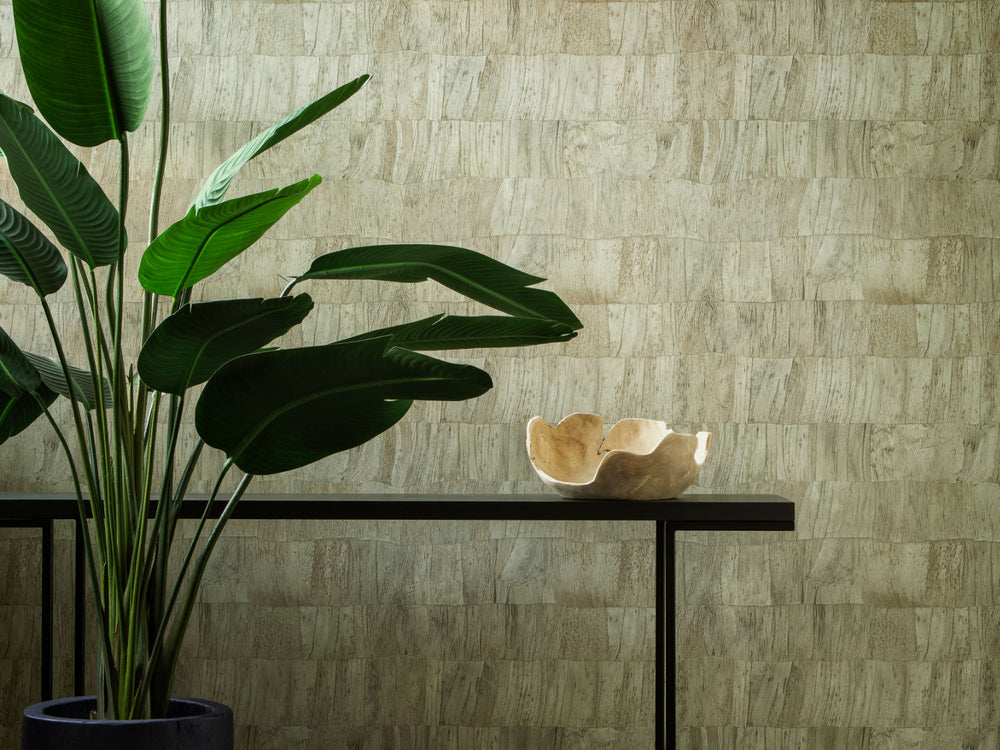 Arte Selva Capas - 34304